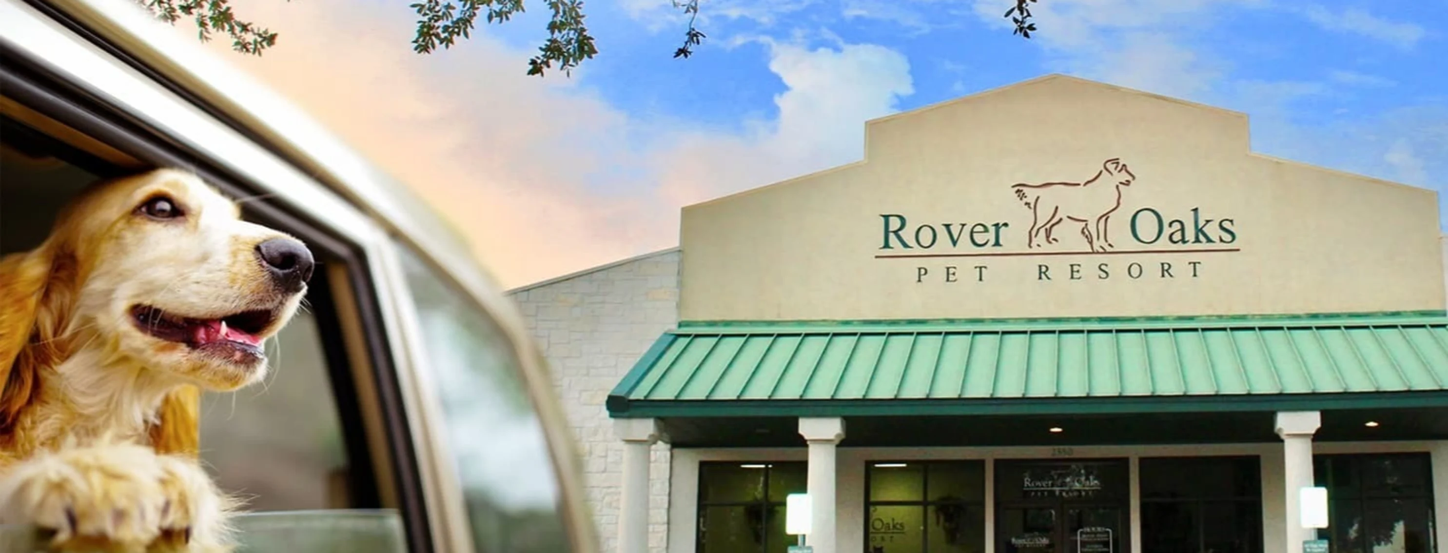 Rover Oaks exterior with dog in car